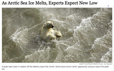 As Arctic Sea Ice Melts, Experts Expect New Low - NYTimes.com.jpg