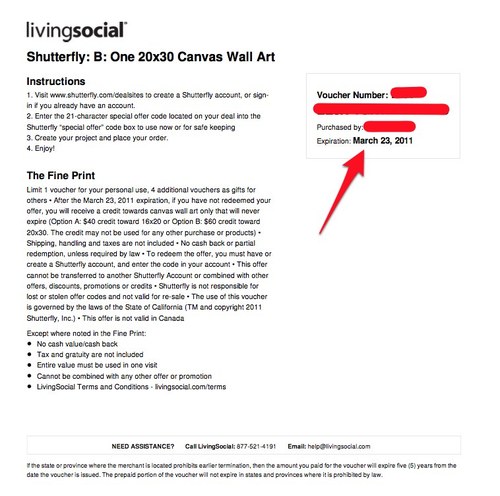 livingsocial-1.jpg